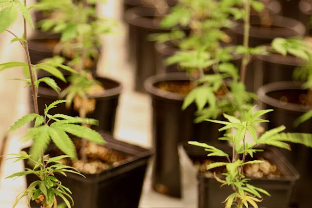 Warehouse for Sale in  California 93535